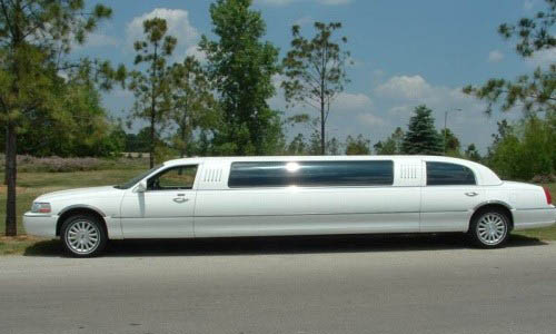 Renting a Limo Company