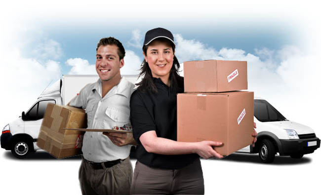 Couriers Services