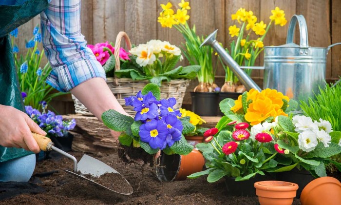 Essential Spring Gardening Tips