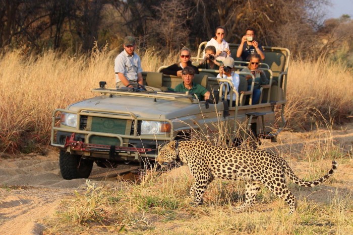 Namibia Safari Tours