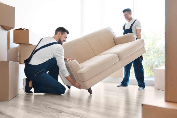 Professional Moving Companies