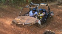 7 Thrilling Activities to Experience at the Ultimate Adventure Park in Jamaica