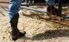 Cowboy Boots: An American Staple