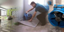 Prevent Toxic Mold with Professional Flood Damage Restoration Services