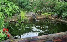 How to Look After Your Garden Pond – 10 Easy Tips