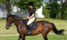 Tips For Buying Hoof Supplements For The Health Of Your Horse