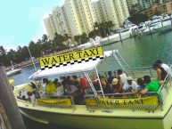 Memorable Miami Sightseeing by Water Taxi