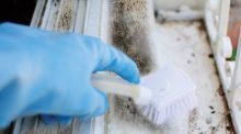 Mould Removal in Dubai Can Be Done Through Duct Cleaning