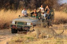 Namibia Safari Tours: Exploring the Wilderness of Southern Africa