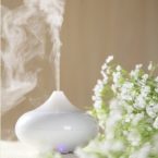 How To Choose An Oil Diffuser?