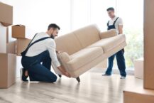 From Kiwi Shores to Aussie Land: How Professional Moving Companies Simplify Your Move to Australia