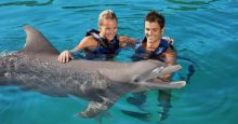 Swim with Dolphins: An Unforgettable Adventure