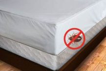 How To Find Cheap And Excellent Bed Bug Mattress Covers Online