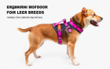 Best Dog Harness for Dogs That Pull for Better Control and Comfort