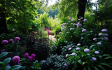 Best Perennials for the Shade: Top Plants for Low-Light Gardens